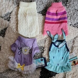 Set of Four Dog Sweaters and Dresses